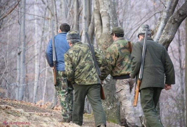 Doi bărbați au fost REŢINUŢI după ce au rănit un CERB NOBIL