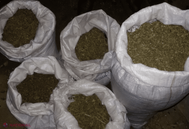 Droguri de patru milioane, confiscate de polițiști
