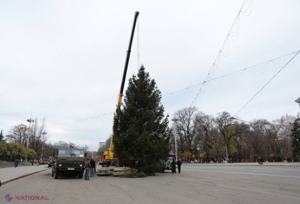 FOTO // Bradul de Crăciun a fost instalat deja în PMAN