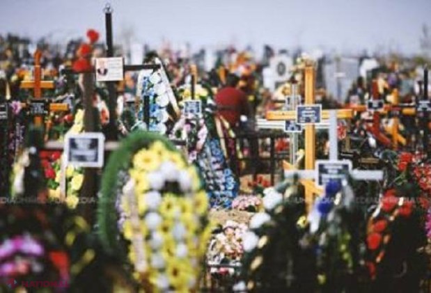 NU duceți astfel de flori la cimitir de Paștele Blajinilor! Avertismentul autorităților