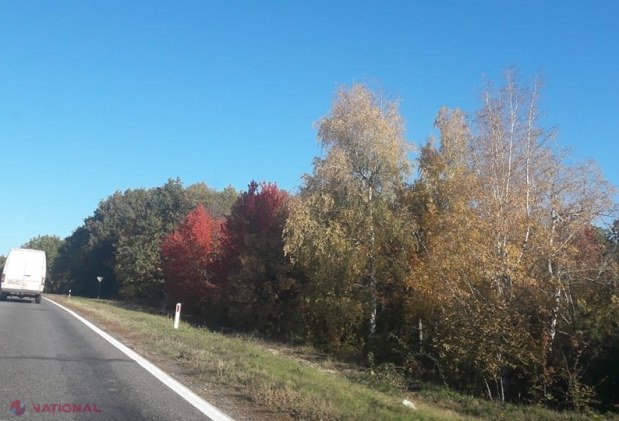 METEO // Cod galben de VÂNT în R. Moldova: De la plus un grad noaptea, la plus 25 de grade Celsius ziua