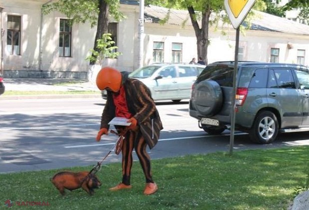 FOTO // Protest INEDIT în fața Ambasadei Rusiei la Chișinău: Mătăsaru a venit cu un „PORC de COLORADO”