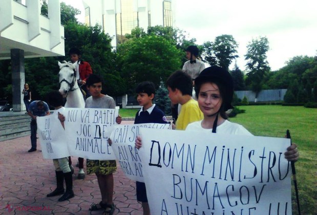 Chişinău // Au rămas cu caii în drum