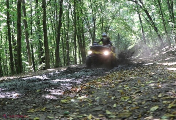 GALERIE FOTO, VIDEO // Prezentatorul de televiziune Alexandu Fosa s-a MUTAT în… codru. Noua ocupație plină de ADRENALINĂ