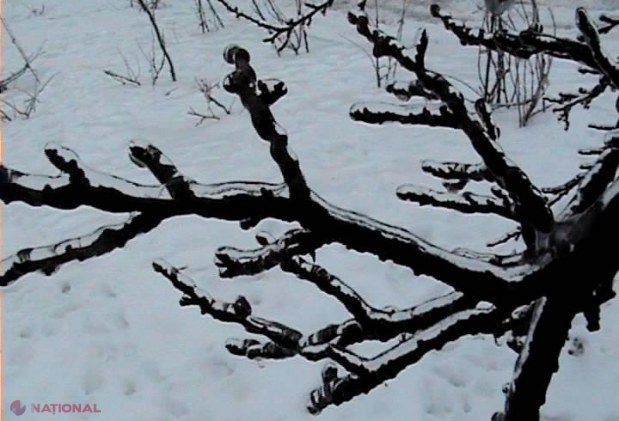 Vine ADEVĂRATA iarnă! Ce ANUNȚĂ meteorologii 