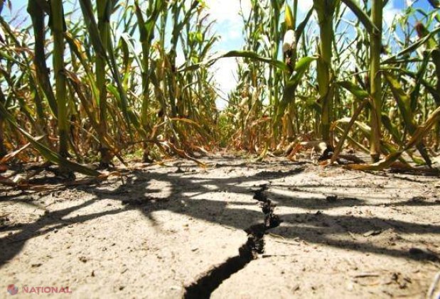 METEO // După zilele toride, urmează o săptămână ploiasă: Ce temperaturi vom avea de luni