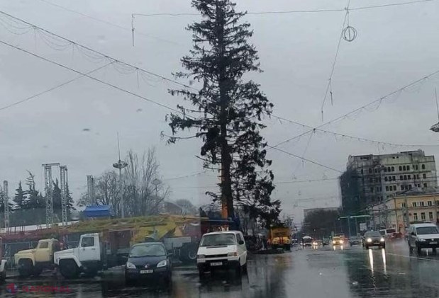 DOC // „Secretul” de la Primăria Chișinău, scos în vileag de un coleg al lui Dorin Chirtoacă: Sondajul cu privire la pomul de Crăciun, organizat de ochii lumii?