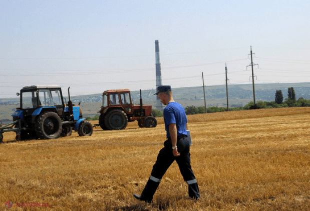 Activitatea secerișului a fost SUSPENDATĂ în zeci de lanuri din R. Moldova. Iată cauza