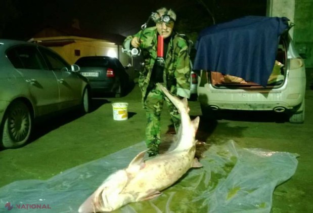 POZA ZILEI // Deputatul moldovean care a prins un pește de 80 de kilograme 