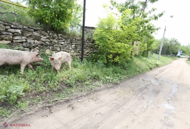 Țâra de oameni