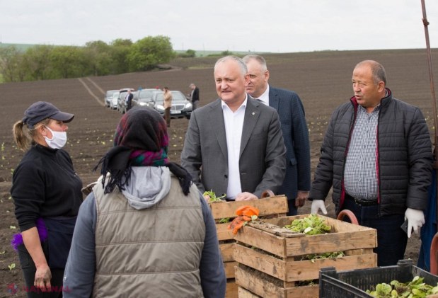 Dodon este îndemnat să-și facă BAGAJELE și să renunțe la mașinile cu GIROFAR mai devreme de 24 decembrie