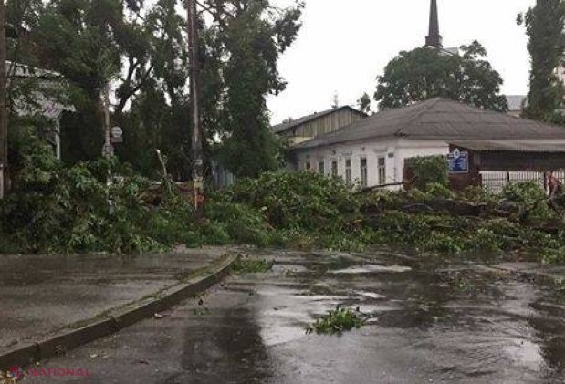 FOTO // FURTUNA din această după-amiază a doborât copaci în Chişinău, a inundat şi a blocat străzi