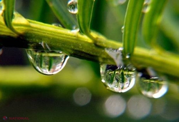 METEO // Cod galben anunțat de meteorologi: Vânt și ploi PUTERNICE în R. Moldova. Cum va fi vremea în zilele următoare