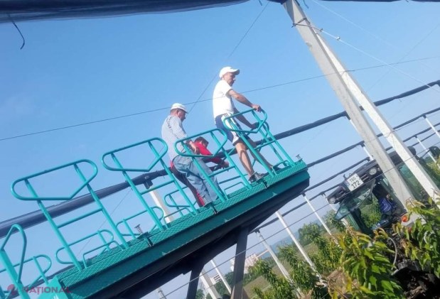 FOTO // Elevii de la Colegiul Agroindustrial din Ungheni au plantat peste un ha de livezi de cireș, vișin și păr, îngrijind, totodată, și o seră de 320 mp: Proiect de 779 de mii de euro