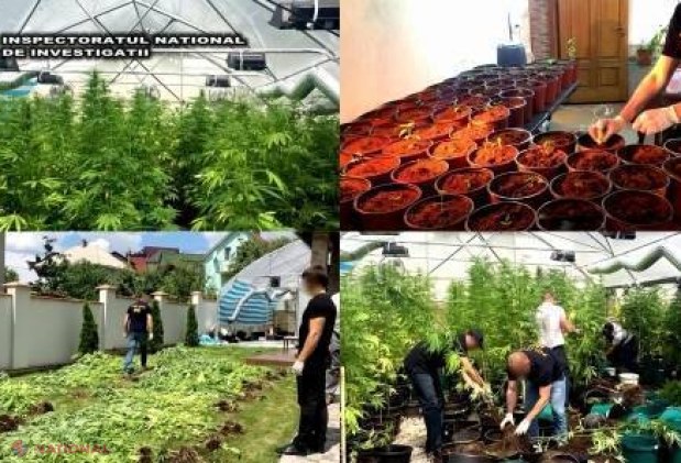VIDEO // Un membru al unei grupări CRIMINALE periculoase, ÎNCĂTUȘAT la Chișinău. Ar face parte din partidul lui Usatîi