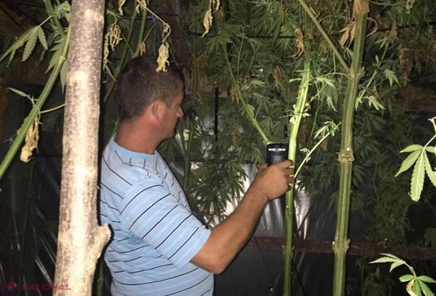 FOTO, VIDEO // Un activist al partidului lui Renato Usatîi a fost REȚINUT de poliție. Ce au găsit în gospodăria sa oamenii legii