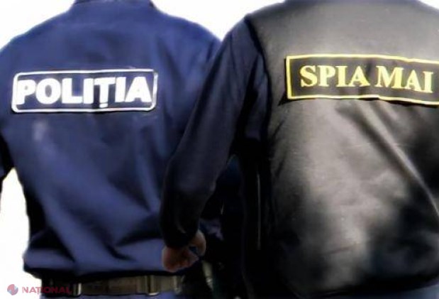 SCHEMĂ // În loc să nimicească plantațiile de cânepă, le protejau. Un polițist a fost CONCEDIAT, iar patru - sancționați