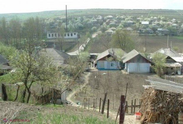Trupurile a doi adolescenți din Ungheni, descoperite chiar de Paște: Erau îngropate într-o pădure