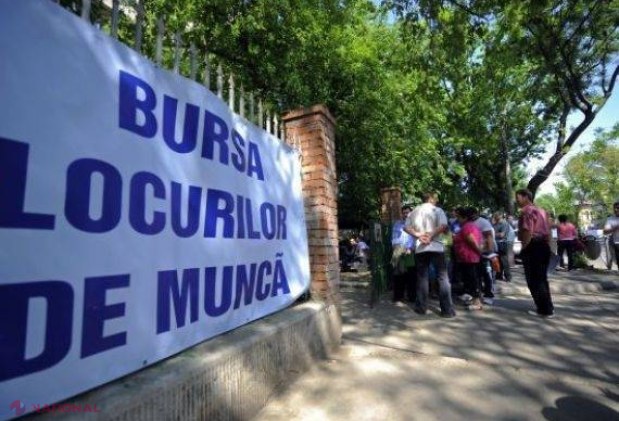 Medicii și managerii sunt cei mai căutați acum în R. Moldova