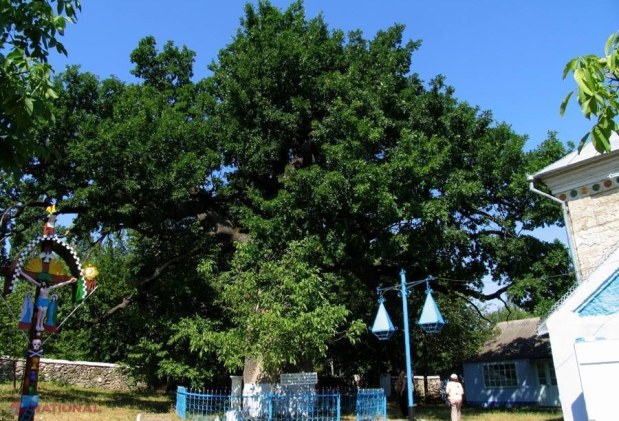 FESTIVAL // Cântece și dansuri „La umbra stejarului” lui Ștefan cel Mare și Sfânt din satul Cobâlea