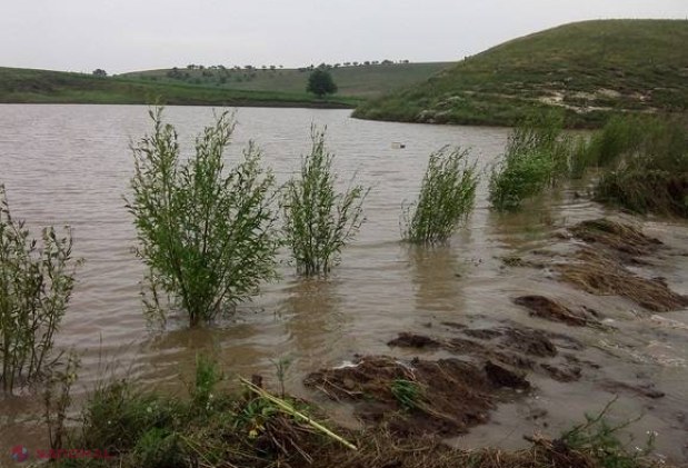 SUTE de hectare de culturi agricole, DISTRUSE în urma ploilor