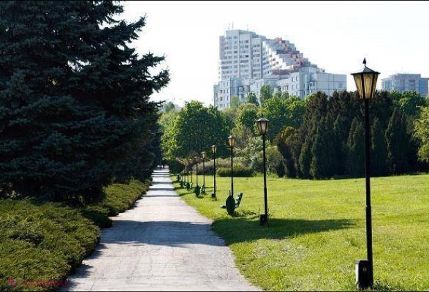 SCANDAL la Grădina Botanică. Un pretendent la titlul de doctor în biologie este acuzat că a prezentat o teză care NU prezintă interes științific