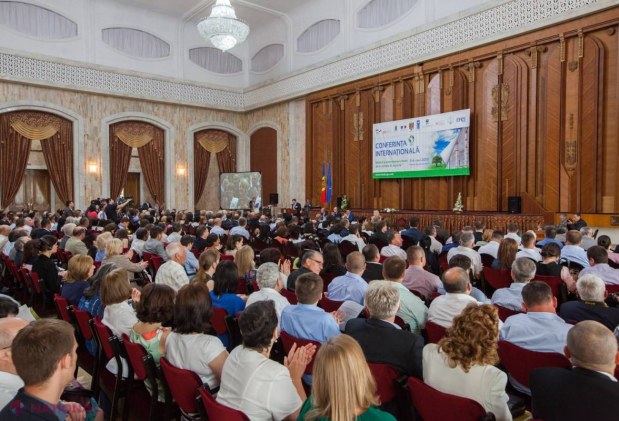 Autoritățile își propun EXTINDEREA suprafeței de păduri din R. Moldova 