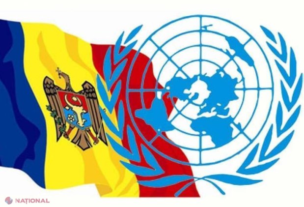 Ninsoarea din aprilie: ONU ajută R. Moldova cu generatoare de energie electrică, motoferestraie și combustibil
