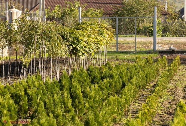 FOTO // Au inițiat o afacere de la ZERO acum 20 de ani, pe pământul din propria grădină, iar acum asigură toată R. Moldova cu ceea ce produc: „Satele noastre se pot dezvolta datorită unor asemenea oameni, care deschid afaceri, reinvestesc”