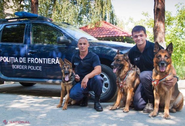 Faradey, Abb și Yoka, EROII Poliției de Frontieră: Au adus acasă TOATE cele șase CUPE ale unei competiții 