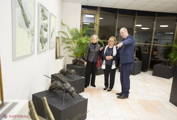 O bancă se transformă în GALERIE DE ARTĂ: „Susţinem EXCELENŢA. Pentru că aşa este #corect!”
