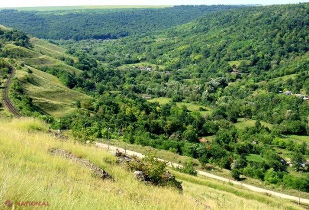 Un pădurar din Nisporeni a luat titlul de CEL MAI BUN specialist al anului