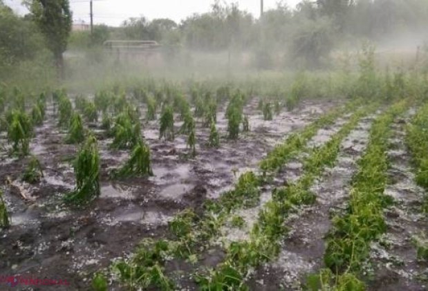 Grindina a făcut RAVAGII la Hâncești: „Groaznic! Nu am mai văzut așa ceva”