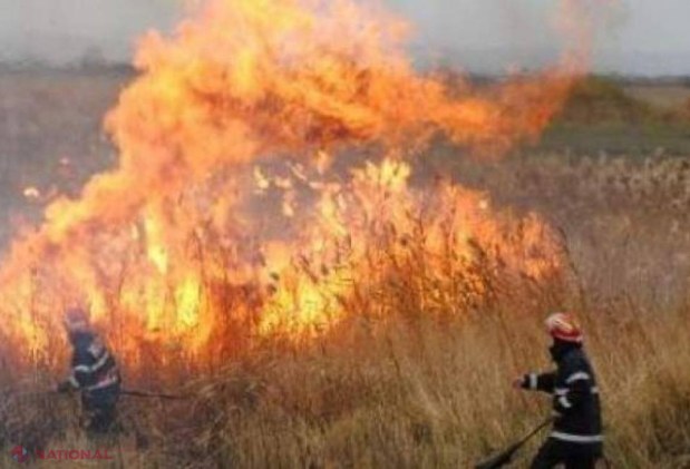 FOC // Zeci de hectare din R. Moldova, în flăcări