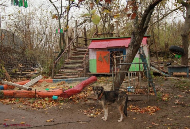 Odaia PUSTIITĂ: Localitatea din R. Moldova cu opt case, patru familii, câțiva câini și-un „generator micuț”