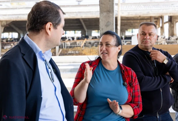 FOTO // R. Moldova demonstrează că POATE: Fermele din nord ating productivități RECORD de nivel european, iar produsele autohtone de o calitate ireproșabilă înlocuiesc importurile