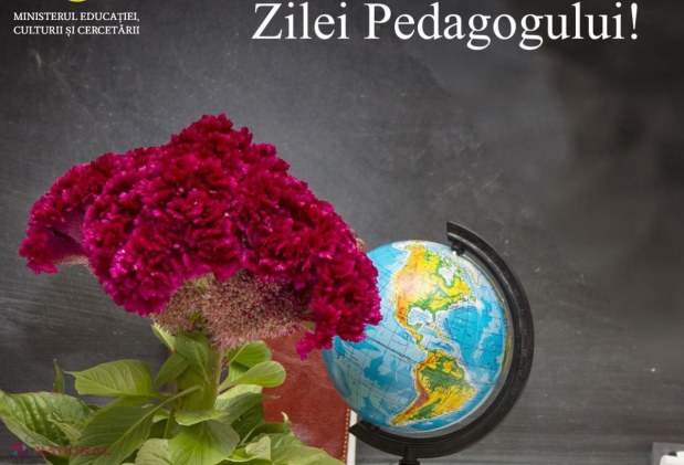 Mesajul ministrei Babuc pentru profesorii din R. Moldova, de Ziua Mondială a Educației: „Orice efort pe care îl facem este prea puțin pentru această nobilă profesie”