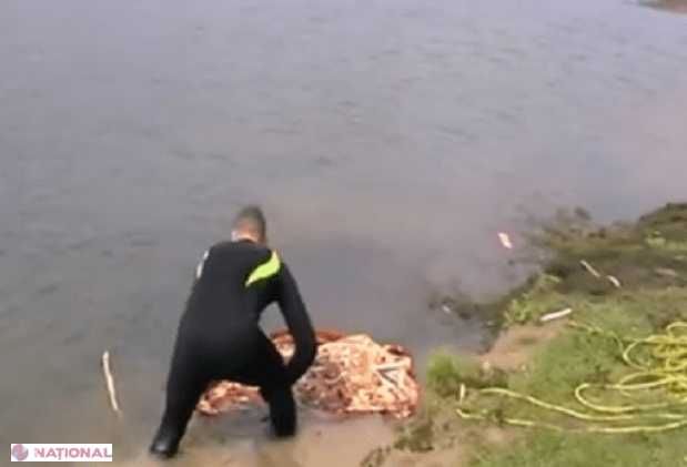 La 13 ani // A intrat în apă să aranjeze plasa, dar s-a înecat