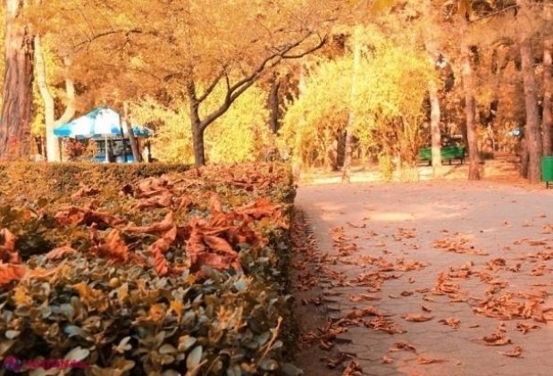 METEO // Un nou Cod galben de ÎNGHEȚURI în R. Moldova: Ce temperaturi ne așteaptă în weekend și săptămâna viitoare 