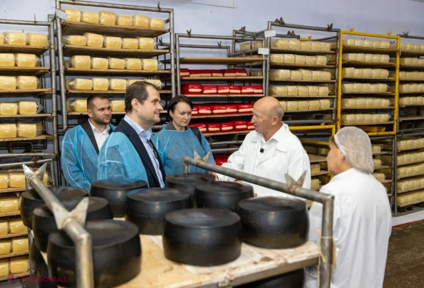 FOTO // R. Moldova demonstrează că POATE: Fermele din nord ating productivități RECORD de nivel european, iar produsele autohtone de o calitate ireproșabilă înlocuiesc importurile