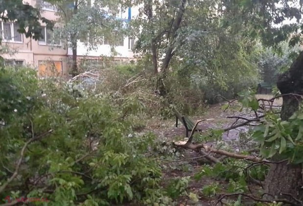 GALERIE FOTO // PLOAIE în Chișinău: Copaci scoşi din rădăcini și căzuți inclusiv pe mașini, străzi spălate de ape, acoperișuri luate de vânt sau cabluri doborâte la pământ