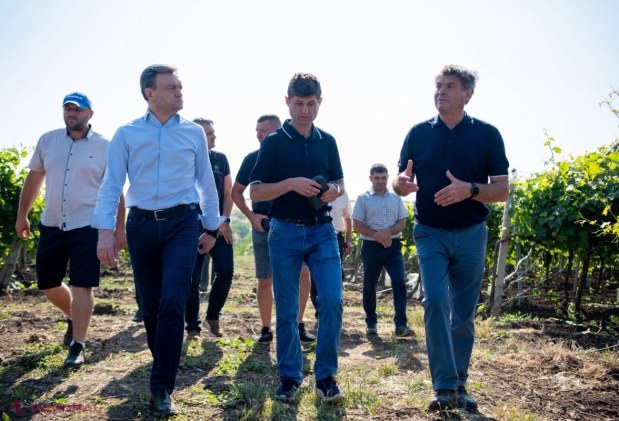 FOTO // Cum să construiești o afacere de succes în AGRICULTURĂ, fără a miza doar pe subvenții din partea statului. O familie din Cahul administrează 2 000 de hectare și practic în fiecare an au o recoltă de TREI ori mai mare decât alți agricultori