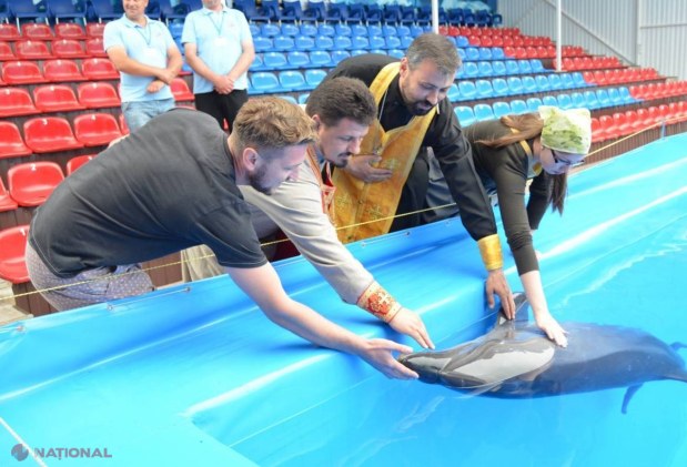 FOTO // Delfinariul din Chișinău a fost SFINȚIT: „Delfinii sunt BLÂNZI”