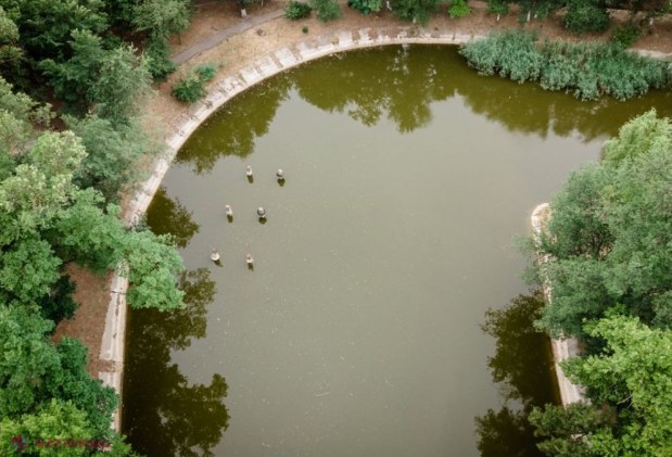 FOTO // La Taraclia s-a dat STARTUL reconstrucției capitale a PARCULUI central din oraș, la inițiativa lui Ilan Șor