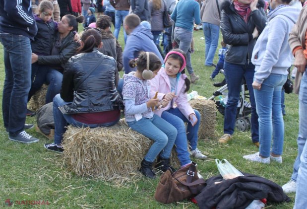 FOTO // Dovlecii au „înviat” ieri la Lozova