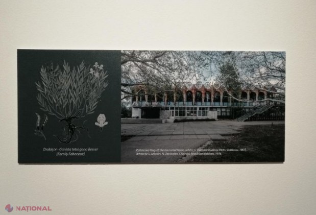 GALERIE FOTO // Plante și clădiri pe cale de DISPARIȚIE: Pledoarie pentru Cartea Roșie a arhitecturii moderniste, la MNAM