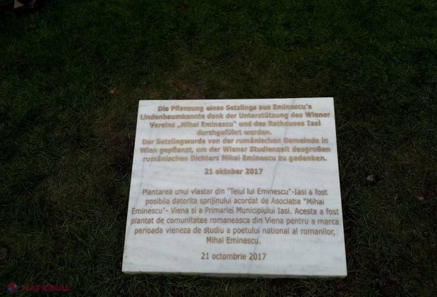 FOTO // „Teiul lui Mihai Eminescu” a ajuns la Viena. Cine a sădit vlăstarul în Stadtpark