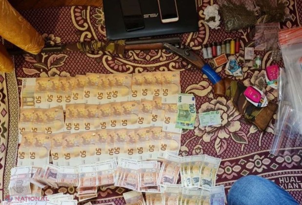 FOTO // Afacere ilegală de MILIOANE desfășurată de SOCIALIST din Orhei: Cultiva în solarul din curtea sa CÂNEPĂ INDIANĂ