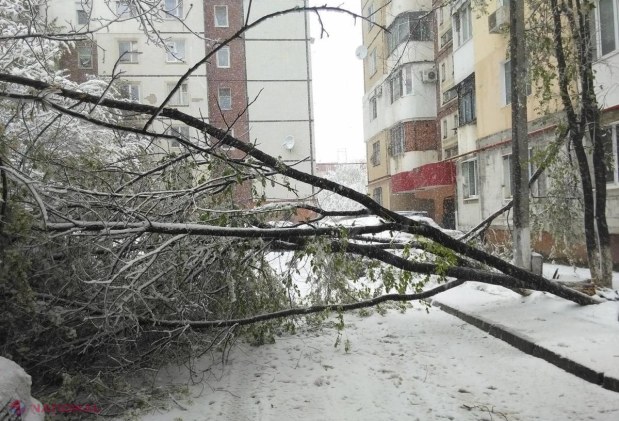 METEO // Ninsoarea NU se lasă: Câte zile va mai ninge în R. Moldova