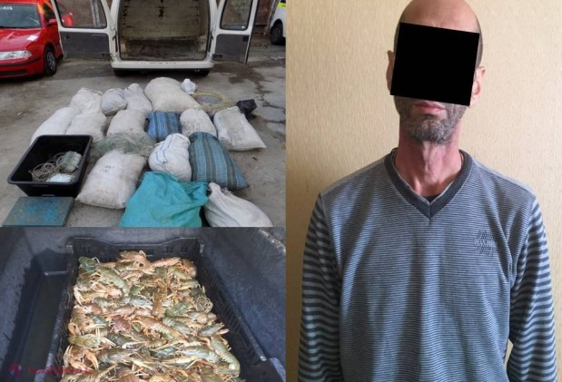 VIDEO // Un individ din Georgia a intrat ziua în amiaza mare ÎNARMAT într-un apartament din Chișinău, a amenințat proprietarul și i-a luat 10 kg de raci vii și 50 de kilograme de pește 